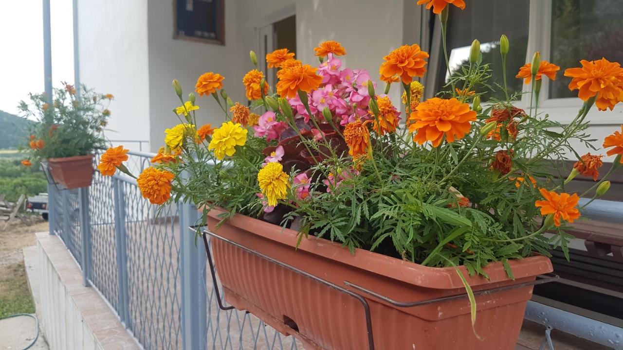 Farm House Godinje Екстер'єр фото